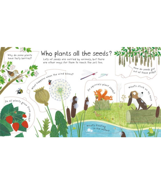 Usborne Publishing First Questions and Answers: How Do Flowers Grow?