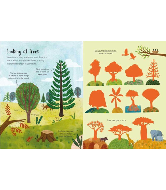 Usborne Publishing First Sticker Book: Trees