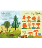 Usborne Publishing First Sticker Book: Trees