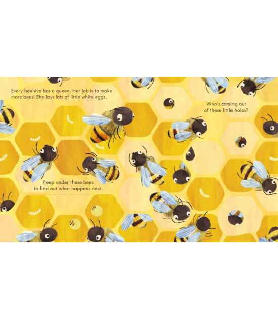 Usborne Peep Inside a Beehive