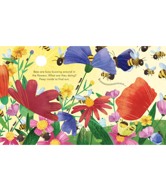 Usborne Peep Inside a Beehive