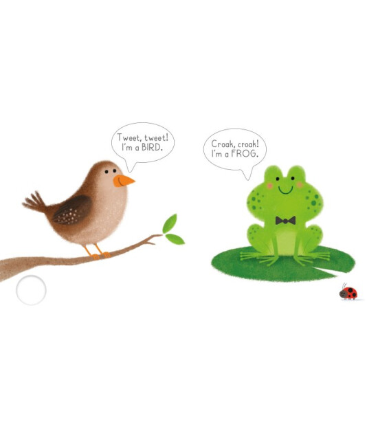 Usborne Garden
