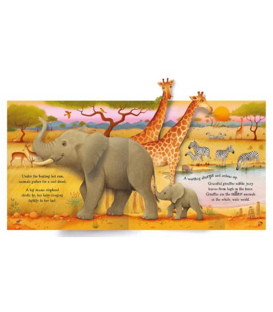 Usborne Pop-Up Animals