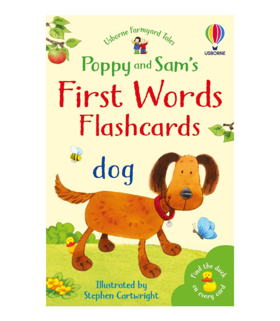 Usborne First Words: Flashcards