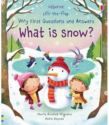 USB - Very First Q&A What Is Snow?