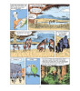 Vintage Publishing Sapiens A Graphic History, Volume 1 : The Birth of Humankind