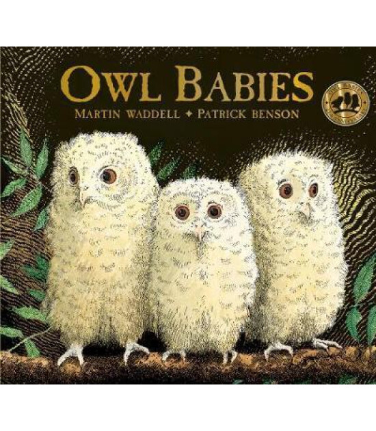Walker Books Owl Babies