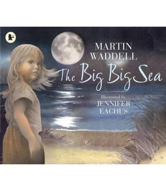Walker Books The Big Big Sea