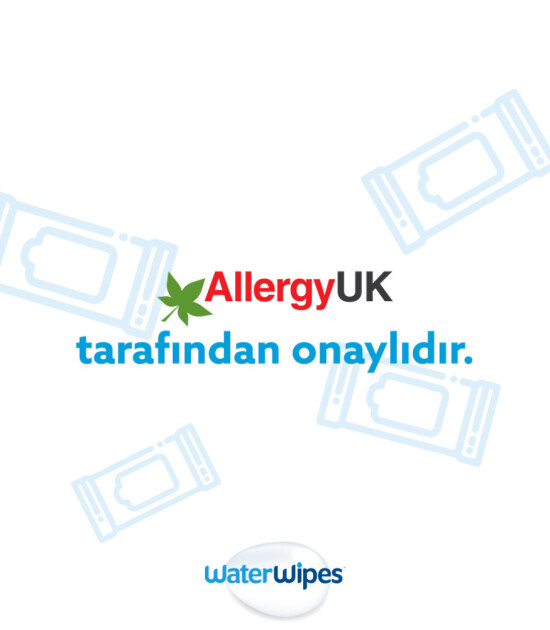 WaterWipes BIO Islak Mendil (60 adet)