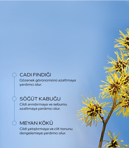 Weleda Deep Cleansing Arındırıcı Y&uuml;z Temizleme Jeli