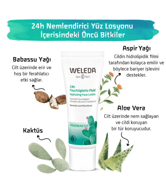 Weleda Cactus 24h Nemlendirici Yüz Losyonu