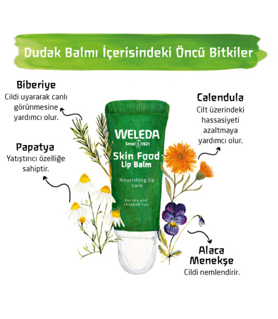 Weleda Skin Food Organik Besleyici Dudak Balmı