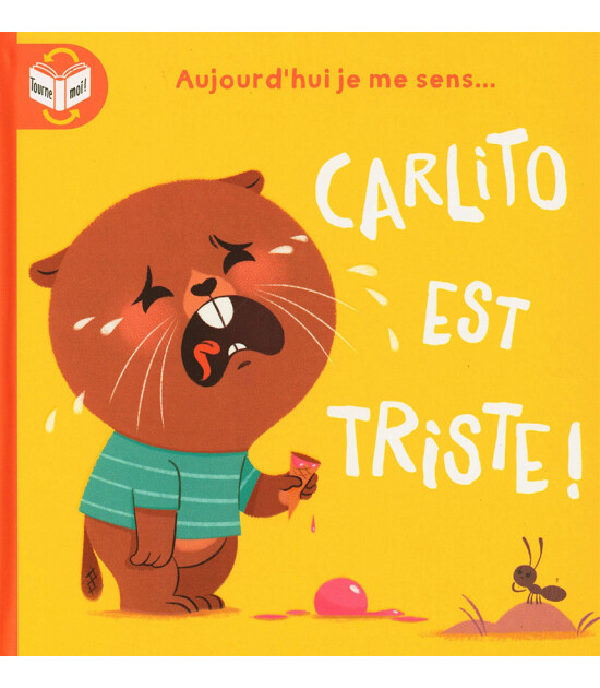 Yoyo Aujourd'hui je me sens...: Carlito est triste - heureux