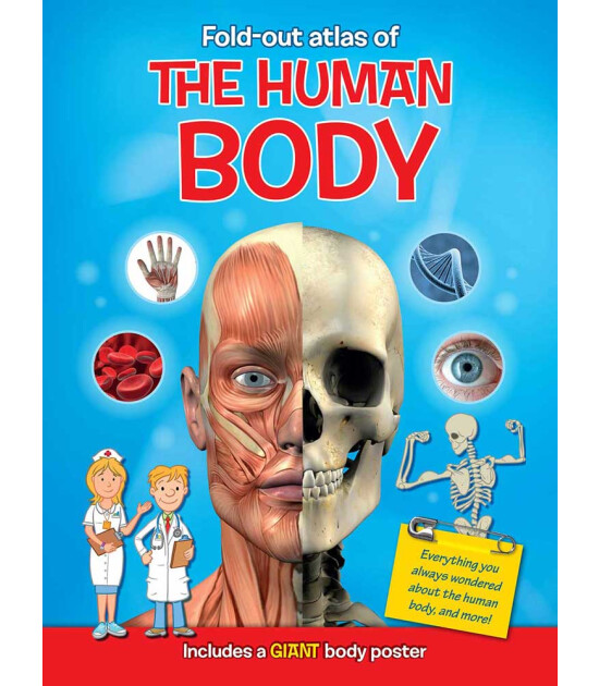 Yoyo My Fold Out Atlas Human Body