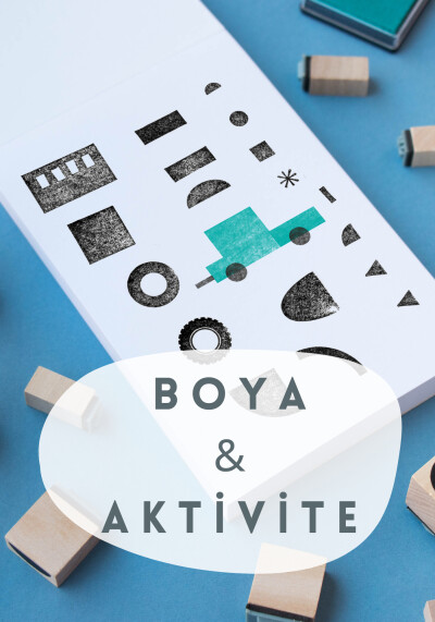 Boyalar ve Yardımcıları