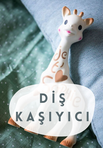 Çıngırak ve Diş Kaşıyıcı