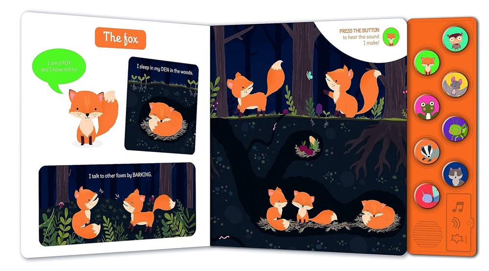 Auzou Publishing My First Sound Book: Night-Time Animals