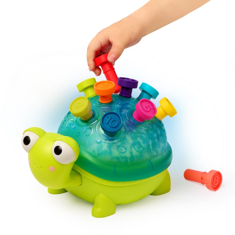 B.Toys Eğitici Kaplumbağa