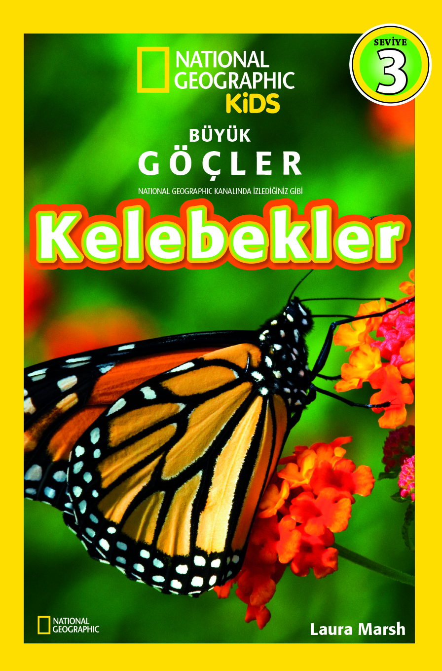 Kelebekler