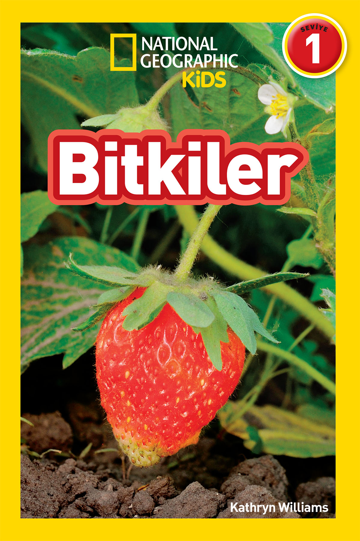 Bitkiler