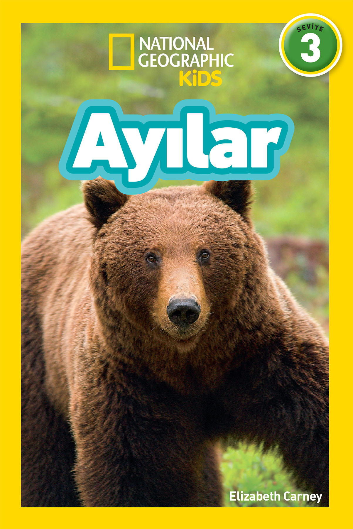 Ayılar