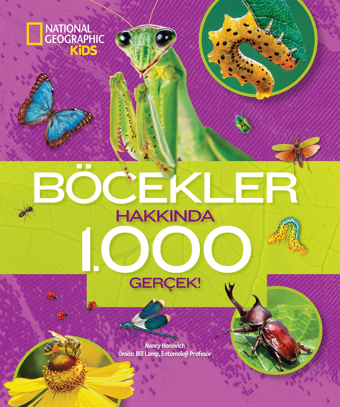 Böcekler Hakkında 1000 Gerçek!