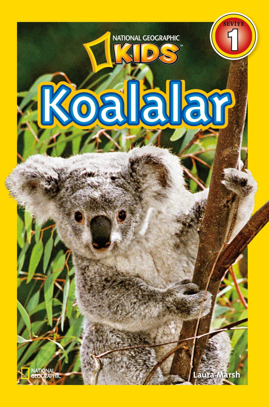 Koala