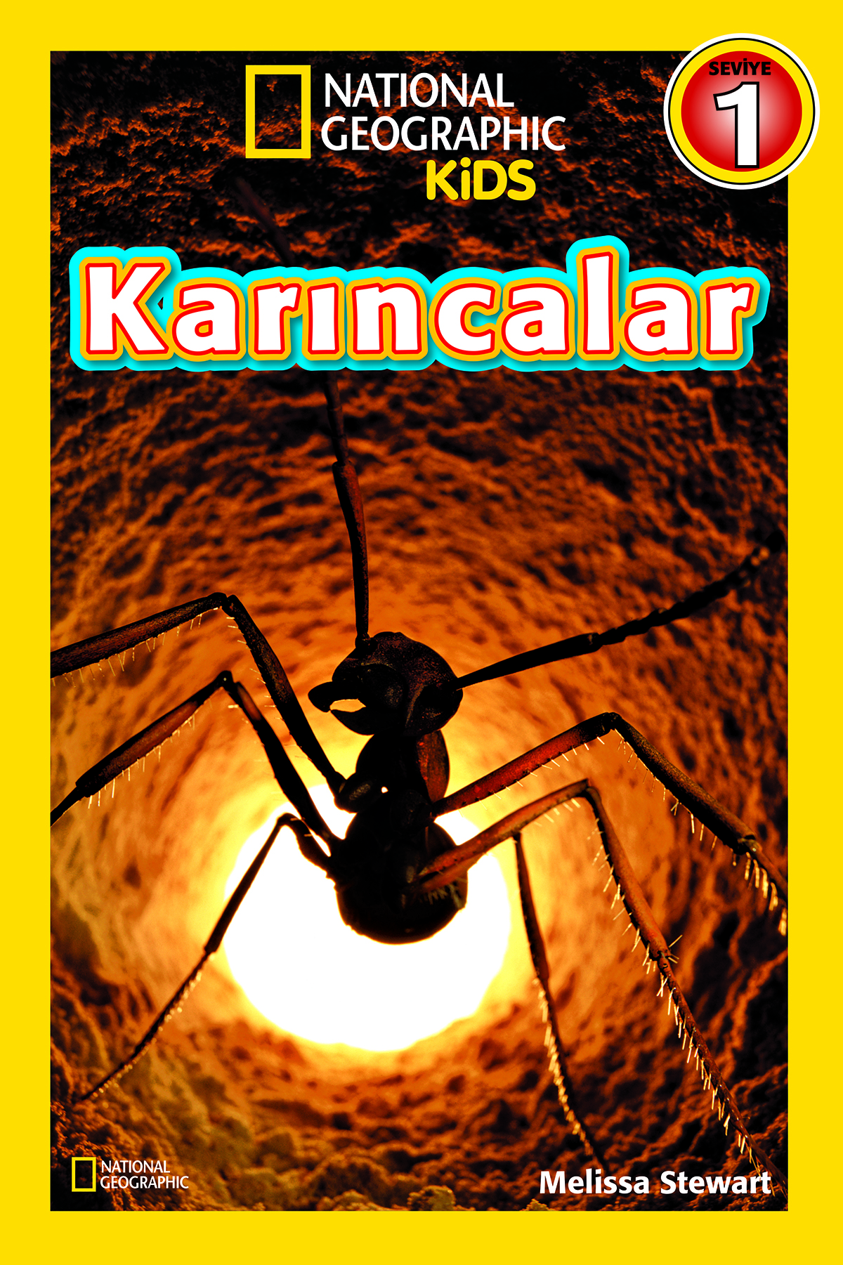 Karıncalar
