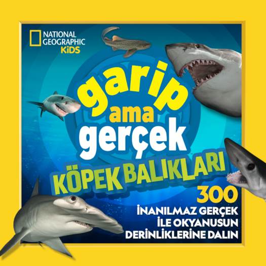 Beta Kids Garip Ama Gerçek! Köpek Balıkları (300 Harika Gerçek)