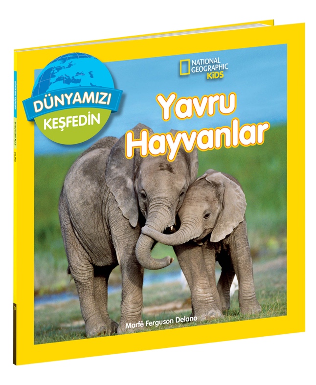 National Geographic Dünyamızı Keşfedin // Yavru Hayvanlar