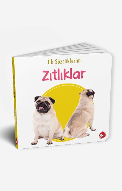 İlk S&ouml;zc&uuml;klerim - Zıtlıklar