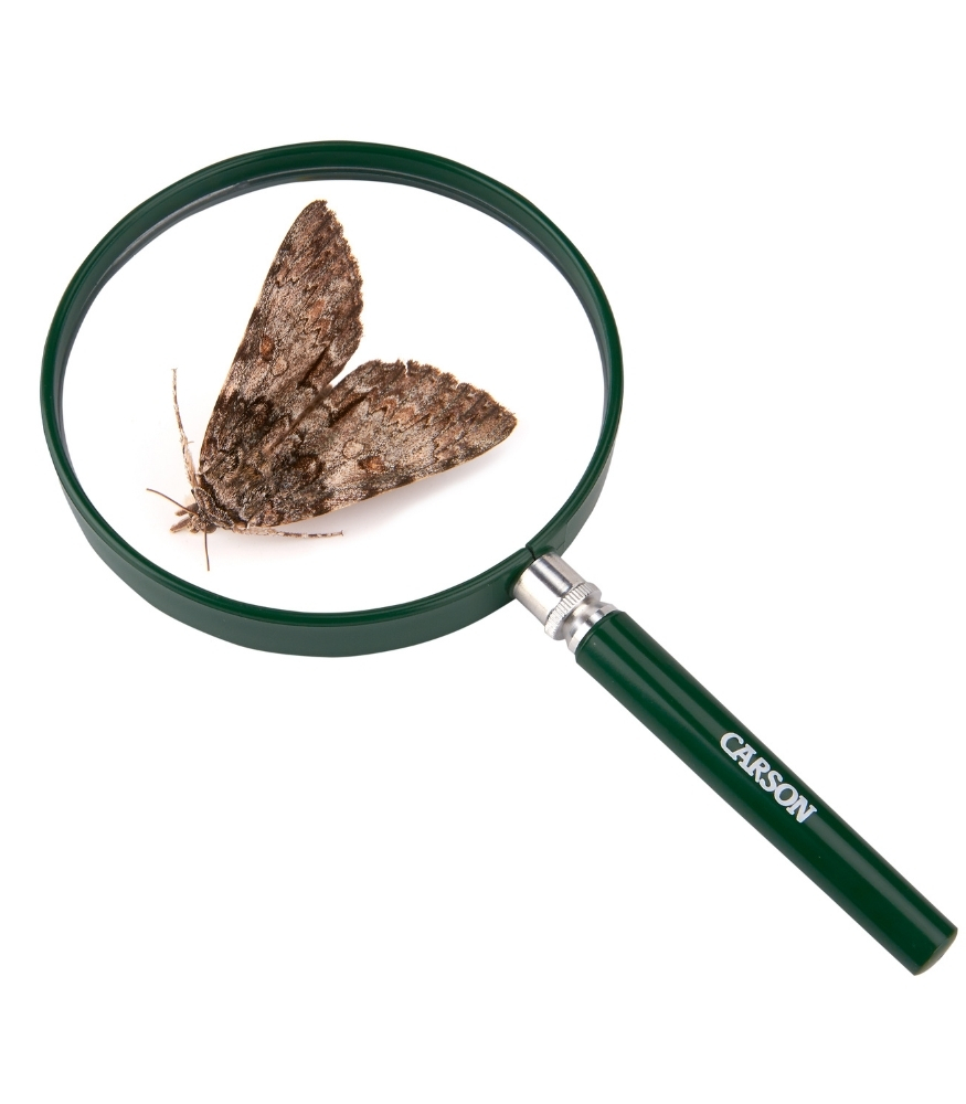 Carson BigEye Ekstra Büyük Çocuk Büyüteci (2X)