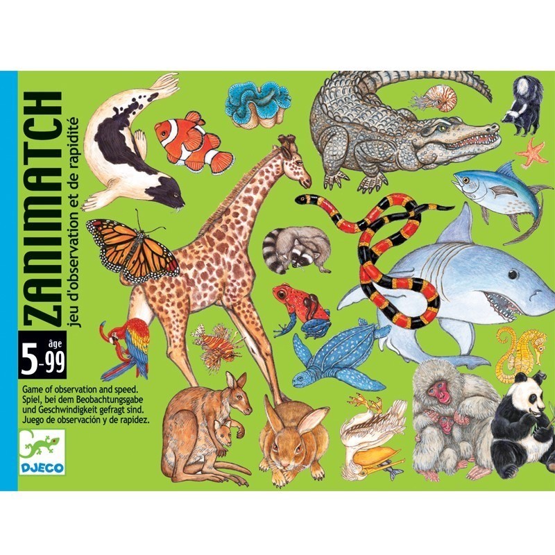 Djeco Kart Oyunu // Zanimatch