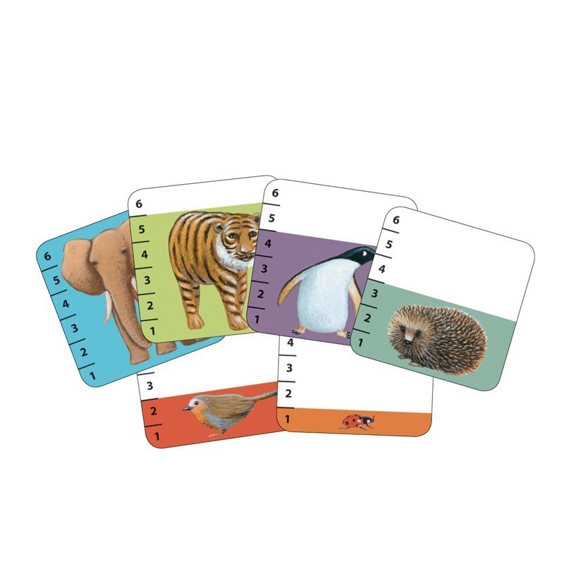 Djeco Kart Oyunu // Batanimo