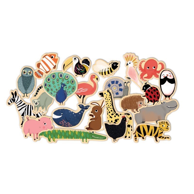 Djeco Magnimo (36 parça)