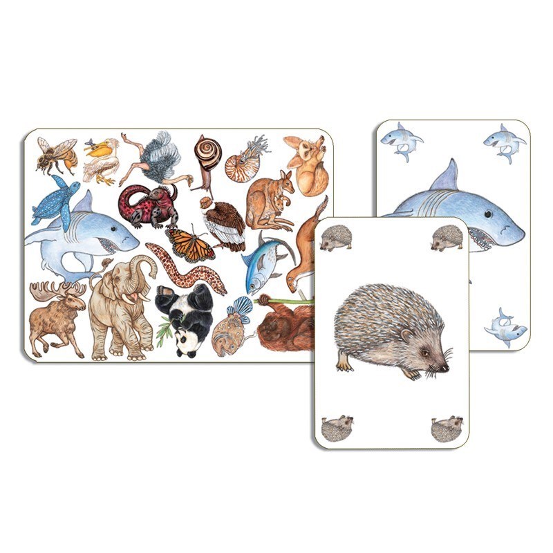 Djeco Kart Oyunu // Zanimatch