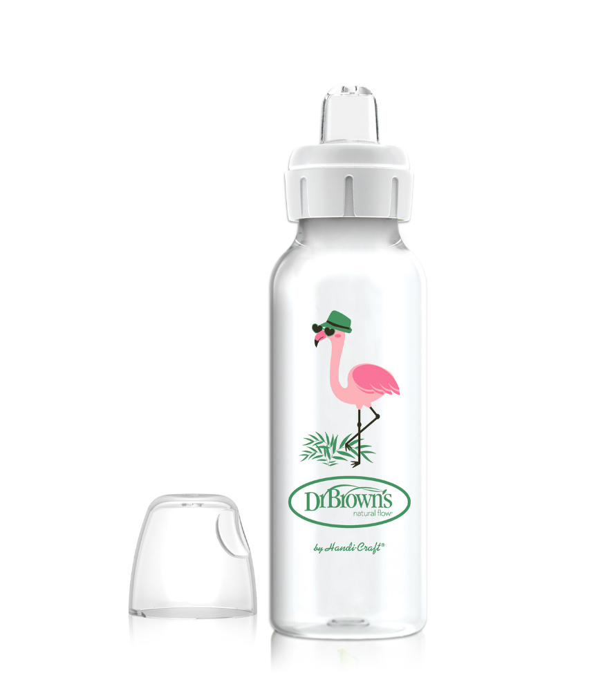 Dr. Brown's Dar Ağız PP + Sippy Spout Biberon Bardak (250 ml) // Flamingo