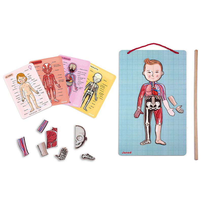 Janod  Mıknatıslı Oyun Vücudumuzu Tanıyalım