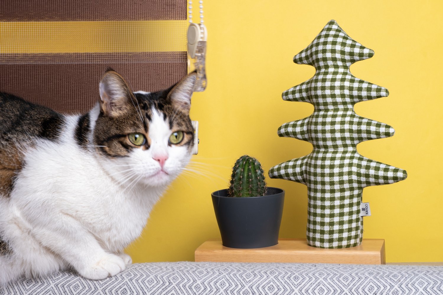 Kayıgo Kayigo Flowery  Saksılı & Notluk - P&ouml;tikareli &Ccedil;am