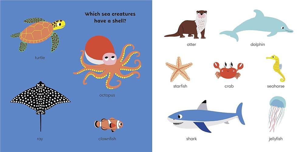 Ladybird My First Animals