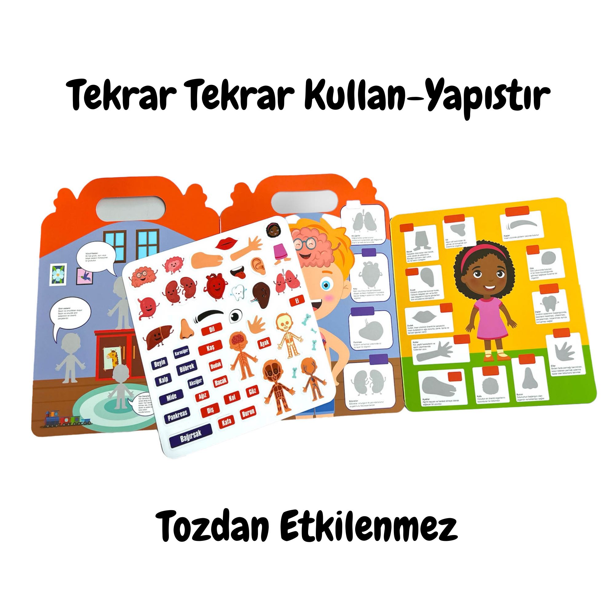 Lino Reusable Tak Çıkar Sticker Kitabı // My Body