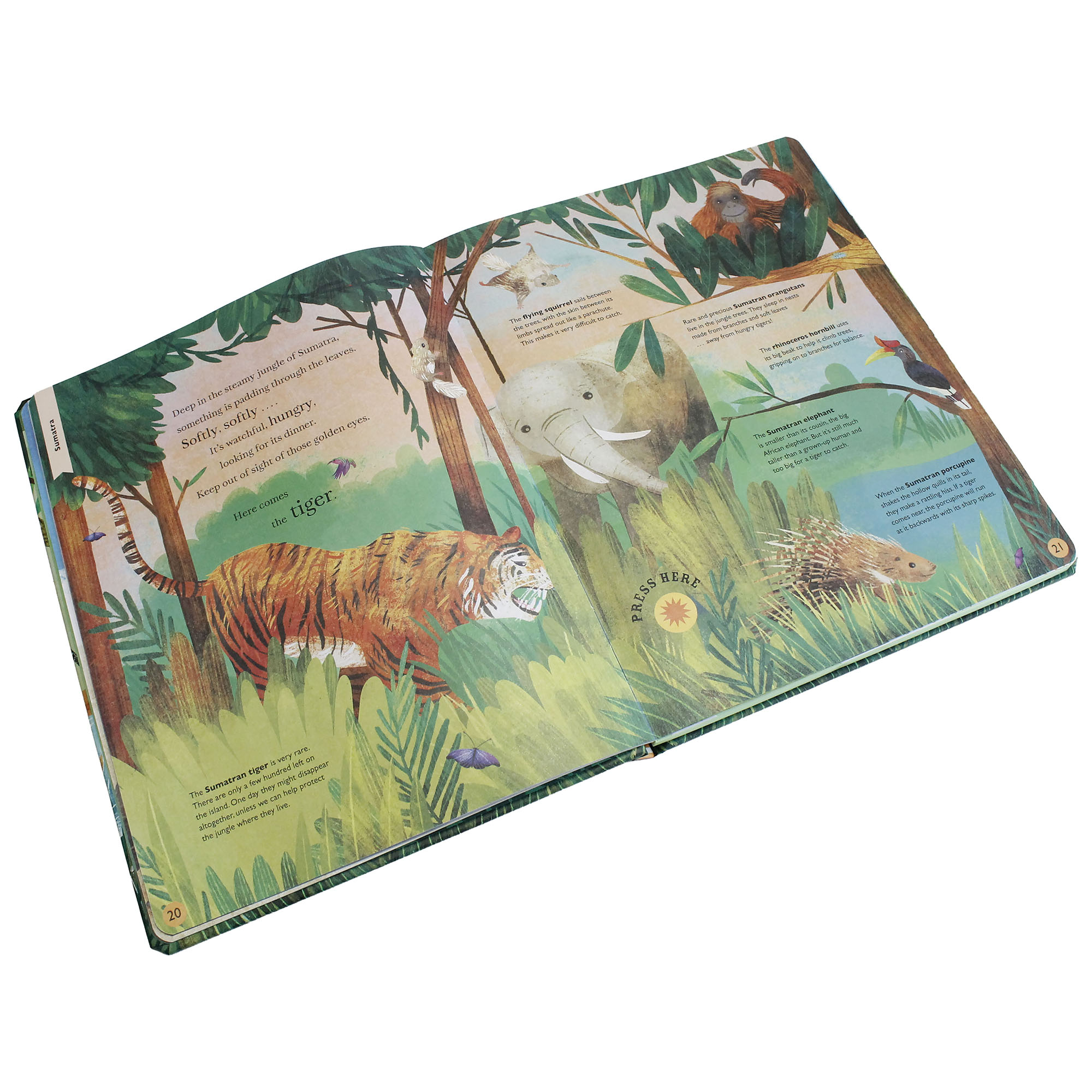 Little Tiger Press Sounds of the Wild