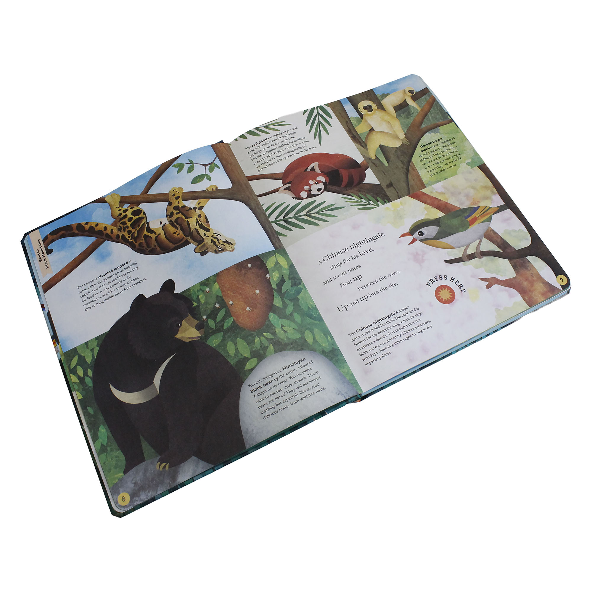 Little Tiger Press Sounds of the Skies