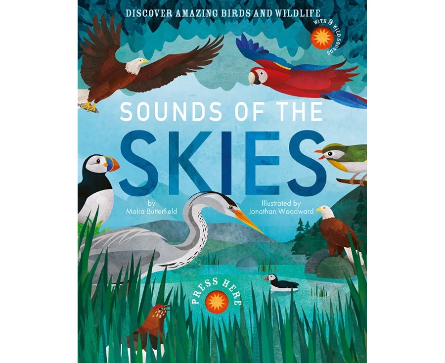 Little Tiger Press Sounds of the Skies