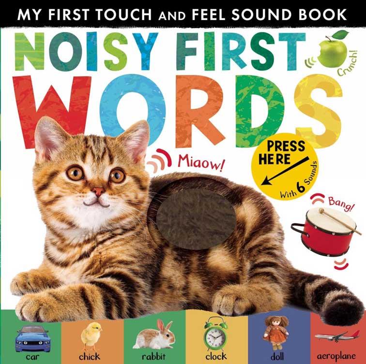 Little Tiger Press My First Touch and Feel Sound Book: Noisy First Word (New Edition)
