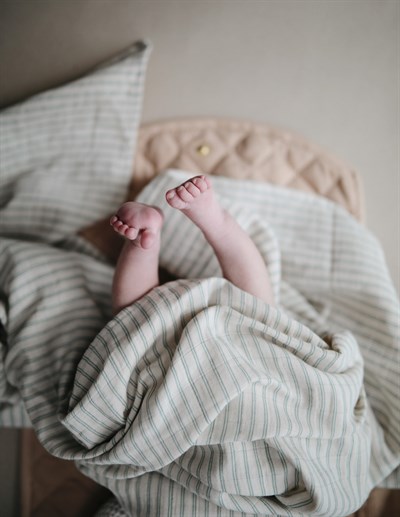 Mushie Organik Müslin Örtü // Sage Stripe