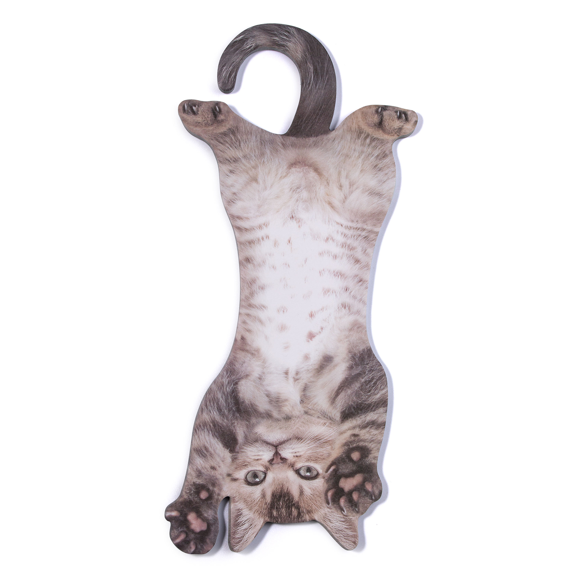 Mustard Asılabilir Notluk // Cat