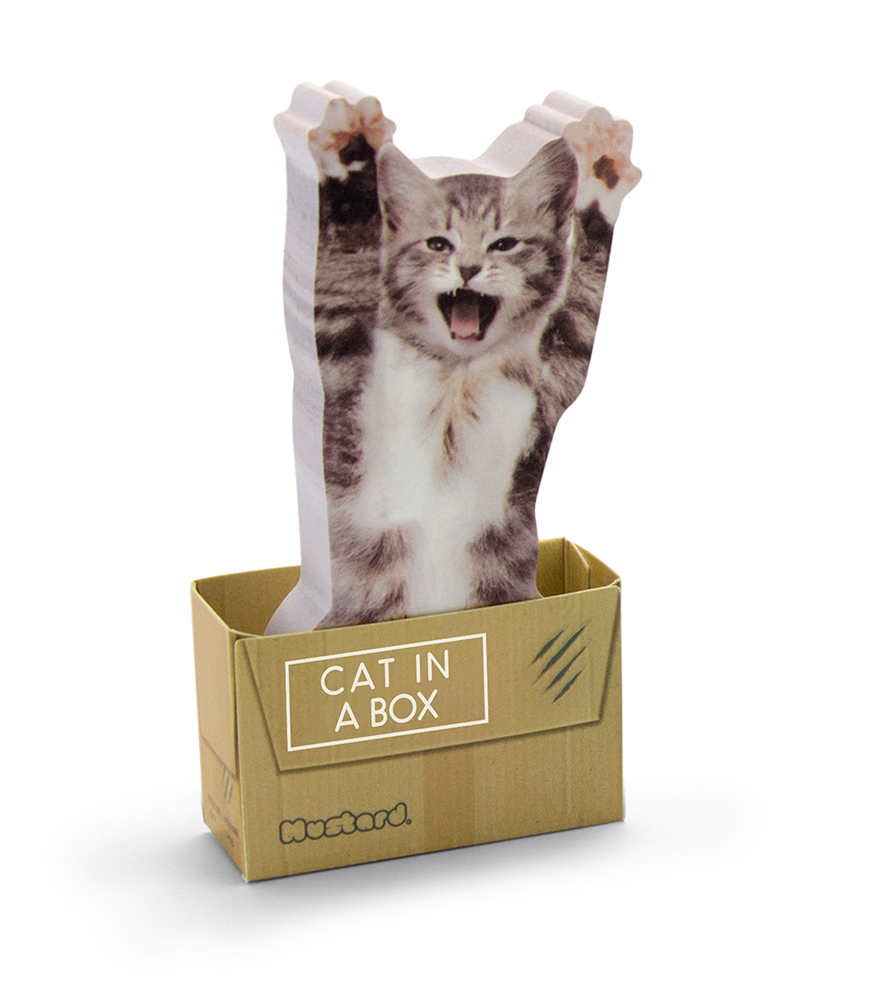 Mustard Sticky Notes Not Kağıdı // Cat in a Box