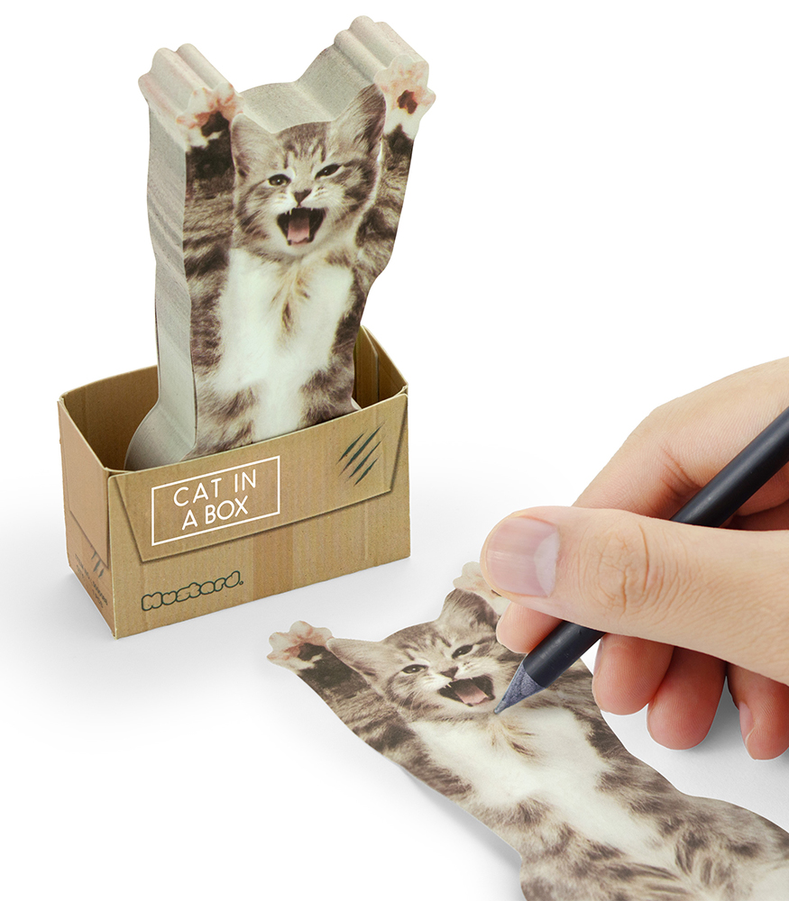 Mustard Sticky Notes Not Kağıdı // Cat in a Box