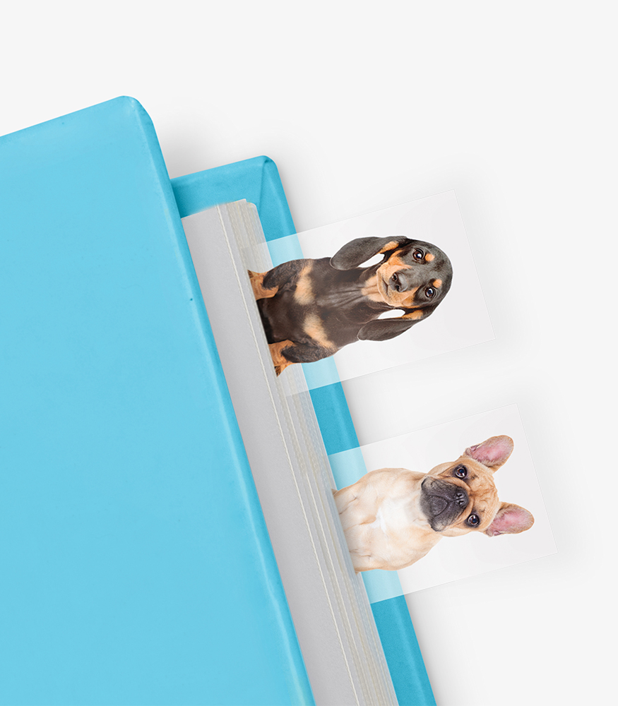 Mustard Kitap Ayracı // Dog in a Book